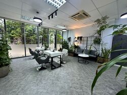 The Mezzo (D12), Shop House #502696321